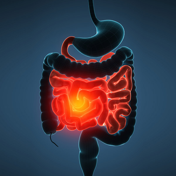 Gastrointestinal Surgery