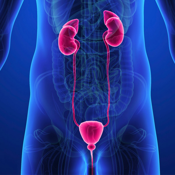 Urology Treatment