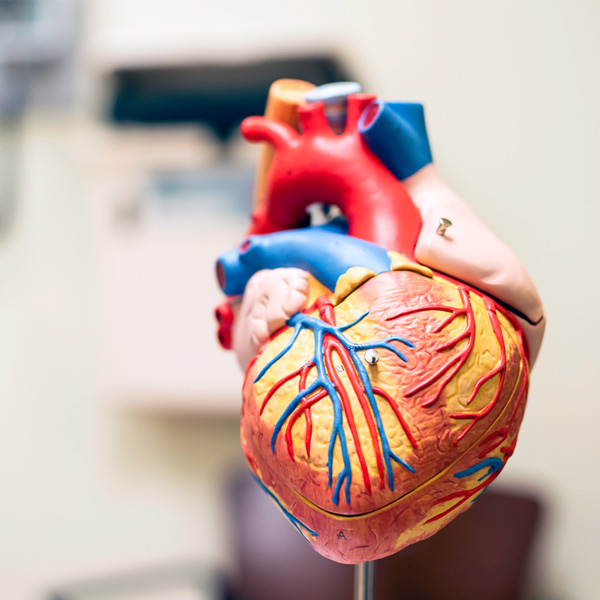 Cardiac Sciences