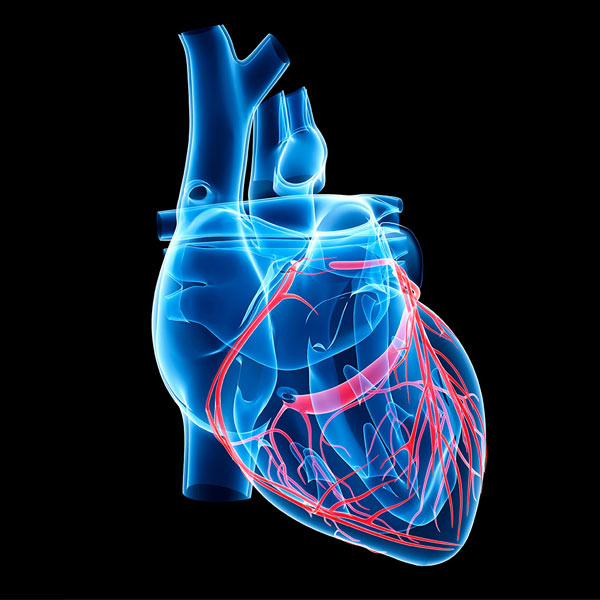 Pediatric Cardiac Surgery