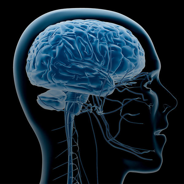 Neurology Treatment